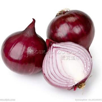 200 Onion RED Creole Great Vegetable Seeds~Organic~, great popular healthy vegetable