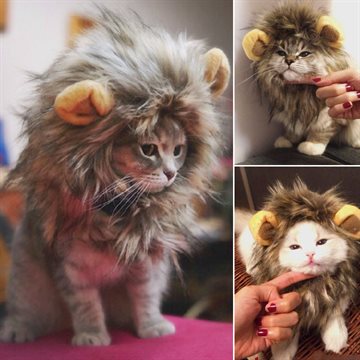 Furry Pet Costume Lion Mane Wig For Cat Halloween Fancy Dress Up With Ears Party Home Drop Shipping