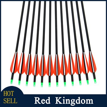 12pcs Replaceable Arrowhead,30inch,Spine 500,Carbon Aluminium Arrows,Hunting Bow Arrows,for Compound/Recurve Bow Carbon Arrow