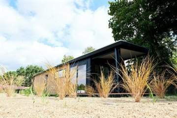 Zand Lodge voor 4 personen in Voorthuizen Veluwe