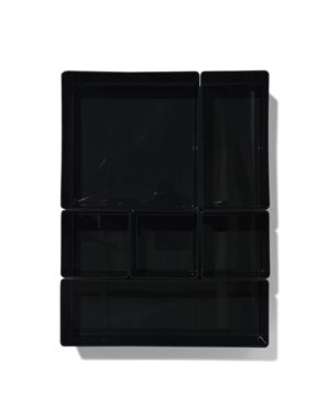 HEMA Lade Organizer 30x22.5x5.5 6-delig Zwart (zwart)