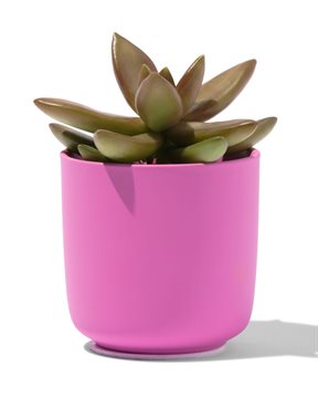 HEMA Bloempot Ø6x6.5 Aardewerk Roze (roze)